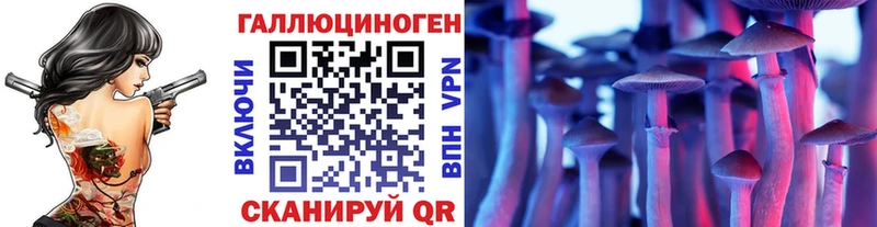 Купить  Лобня  Галлюциногенные грибы Psilocybine cubensis 